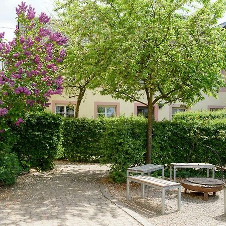Nengshof Ferienwohnungen Mohnblume Und Kornblume Wißmannsdorf Eksteriør bilde